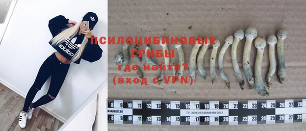 метадон Богородск