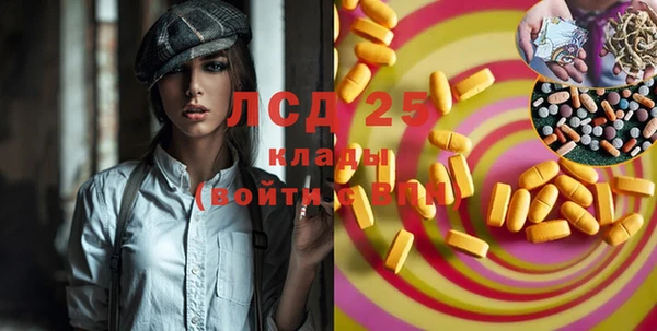 спиды Тында