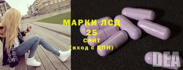 сатива Тобольск