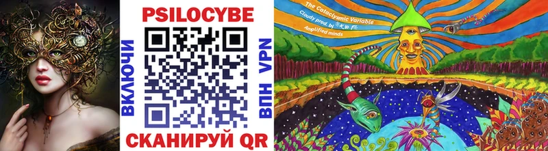 Псилоцибиновые грибы Cubensis  Красный Сулин 
